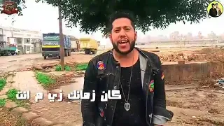 كلب على الرصيف دندنها