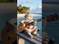 Lagu cat is busy playing guitar on the beach #hewanlucu #animalshorts #hewanmaingitar #kucinglucu