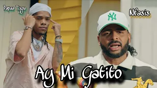 Ay Mi Gatito - Papaa Tyga X Nfasis | Video Oficial