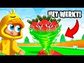 Download Lagu Ik Vond Het GEHEIME RITUEEL In Steal A Brainrot! (Roblox)