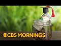 Saving for college What to know about 529 plans