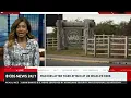Man dies after jumping into tiger's enclosure