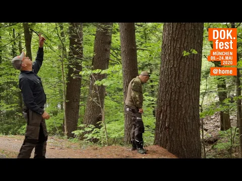 DOK.fest München @home 2020 | FOREST CODE | Trailer