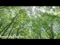 Sami Yusuf A dancing Heart￼