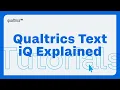Qualtrics Text iQ Explained Automated Text Analysis for Surveys