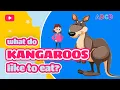 KANGAROOS What do animals eat Educational stories for children from Mary