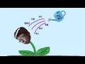 Download Lagu 우리가 잘 몰랐던 남자들의 외모정병