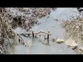 Creek trapping