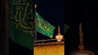 امير الحب علي 