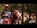 The Fight Life - Donald Cowboy Cerrone