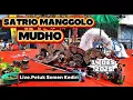 Lagu Live Jaranan Hari ini Satrio Manggolo MudhoFt Bilqis  Audio Ds.Petuk Semen Kediri.#livejaranan.