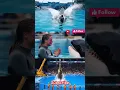 Download Lagu Last time Jessica and dolphin video #thejackvlogs