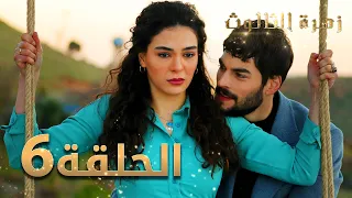 مسلسل زهرة الثالوث الحلقة 6 مدبلج 