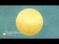 Flexible Fire & Etza - Sunlight [Monstercat Release]