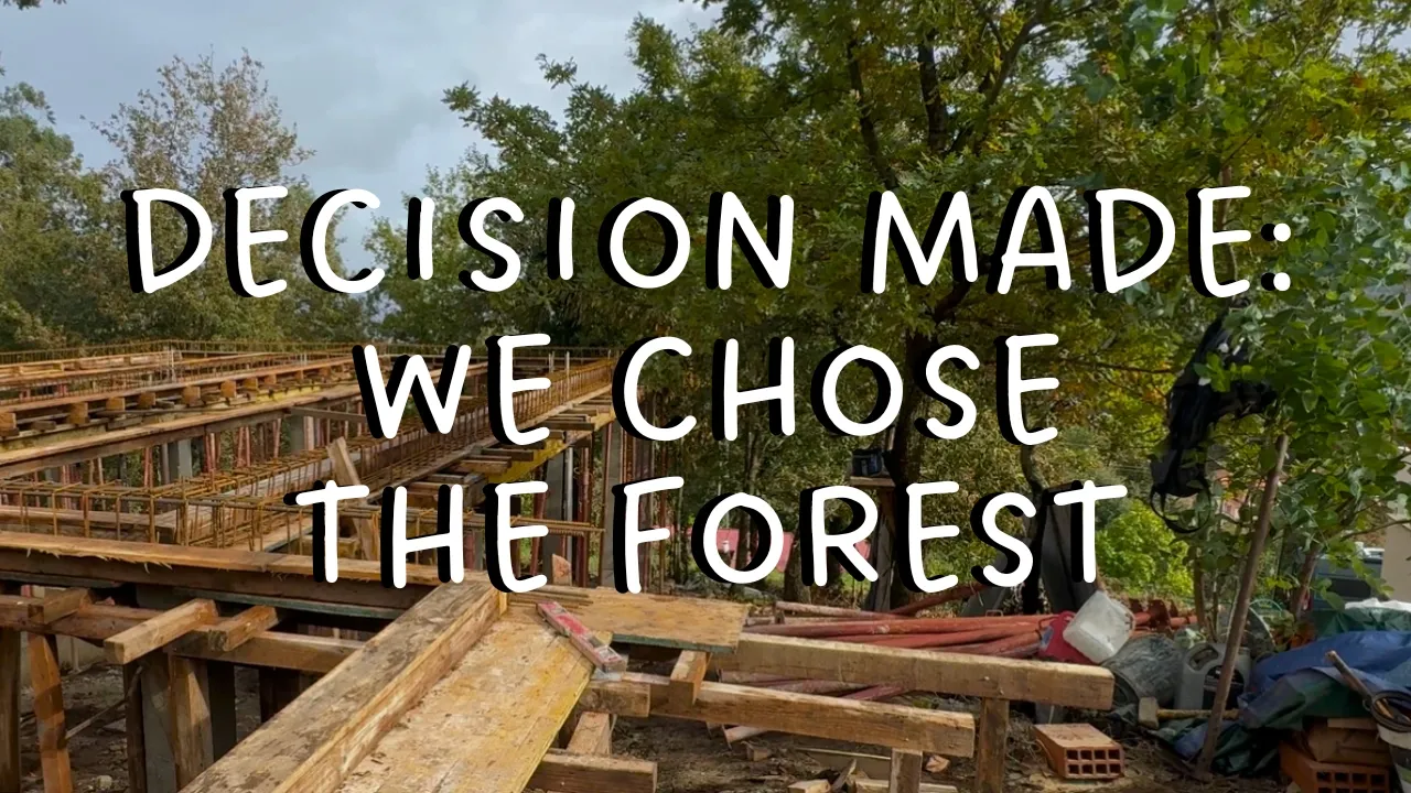Leaving The City to Live Closer to The Forest as an Artist