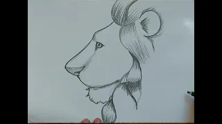 how to draw lion head from side view lion side view face drawing