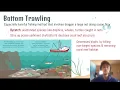 APES Notes for 5 8 - Overfishing