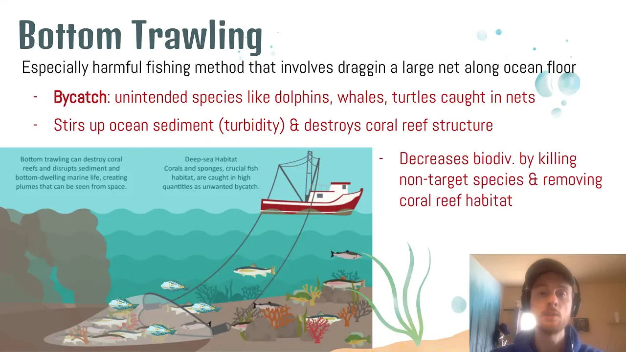APES Video Notes for 5.8 - Overfishing