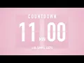 11 Minute Countdown Timer Flip Clock with Simple Beeps