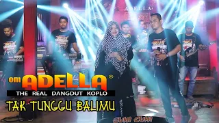 Download OM ADELLA - TAK TUNGGU BALIMU - Fendik Adella ft Ny Simpatik MP3