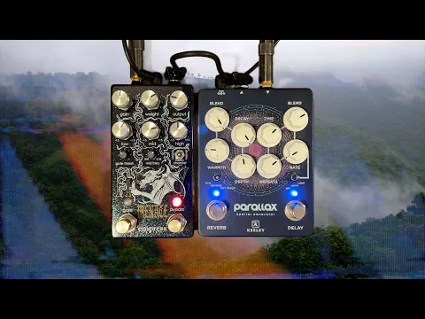 Empress Heavy Menace Distortion | Delicious Audio