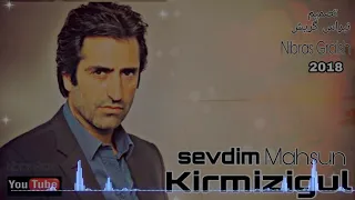                                     دندنها