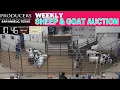 Producers Livestock Auction Company San Angelo Sheep Goat Trade Live April 14 2026
