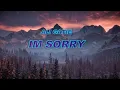 Download Lagu Ali Gatie - I'm Sorry ( Lyrical Music Video)
