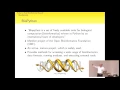 Python in Viral Bioinformatics Research