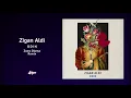 Zigan Aldi - Odin (Zuma Dionys Remix)