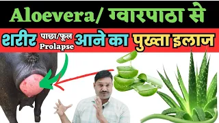  aloevera 