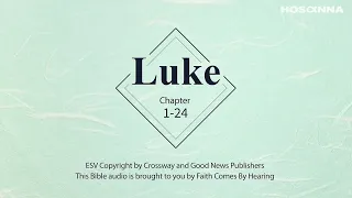 Gospel of Luke Bible with text ESV