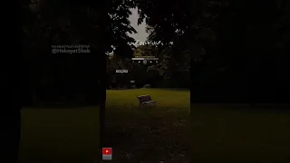 تجربه اتفاق آدمیزاد بخشش Shorts 