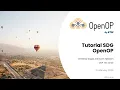 SNS4SNS 2026 SDG OpenOP Tutorial