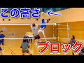 Download Lagu 【バレーボール】この高さの攻撃をブロックしますｗ