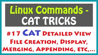 Linux Command Cat File Creation using cat command Linux Command Line Cat Linux Command