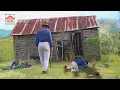 Download Lagu Quiso entrar a LA CASA DEL MILLON de avispas