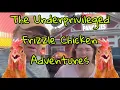 Download Lagu The Underprivileged Frizzle Chicken Adventures