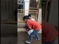 Download Lagu makanya jangan coba2 mengambil yang bukan haknya😂 #comedy #fyp