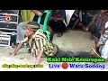 Kaki Nele Kesurupan || Eling Eling || Bendrong Kulon || New Arista Music || Live 🔴 Watu Sodong