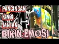 Download Lagu BURUNG MASTERAN CUCAK KINOI JANTAN SUARA JERNIH BIKIN MURAI BATU EMOSIONAL