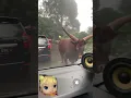 Download Lagu banteng mengamuk atau kontrol jalan⁉️🐃 #shorts