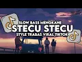 Dj Stecu Stecu Setelan Cuek Baru Malu Full Song Slow Bass Santuy Style Trabas Viral TikTok 2025