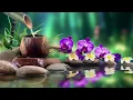 Lagu Beautiful Relaxing Music - Healing Music for Mind, Body \u0026 Soul, Deep Sleep, Stress Relief \u0026 Anxiety
