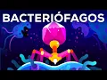 The deadliest creature on our planet - Bacteriophages