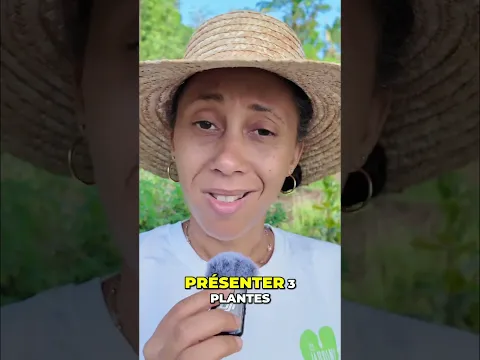Rétention d'Eau : 3 Plantes Antillaises Miracles ! (Diurétiques Naturels) #shorts