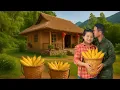 Download Lagu How to Harvest Corn in Garden to Sell -The Evil Mother's Dissatisfaction | Lý Tiểu Hà's Husband