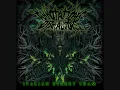 Annotations Of An Autopsy - Gore Gore Gadget ( With Lyrics )
