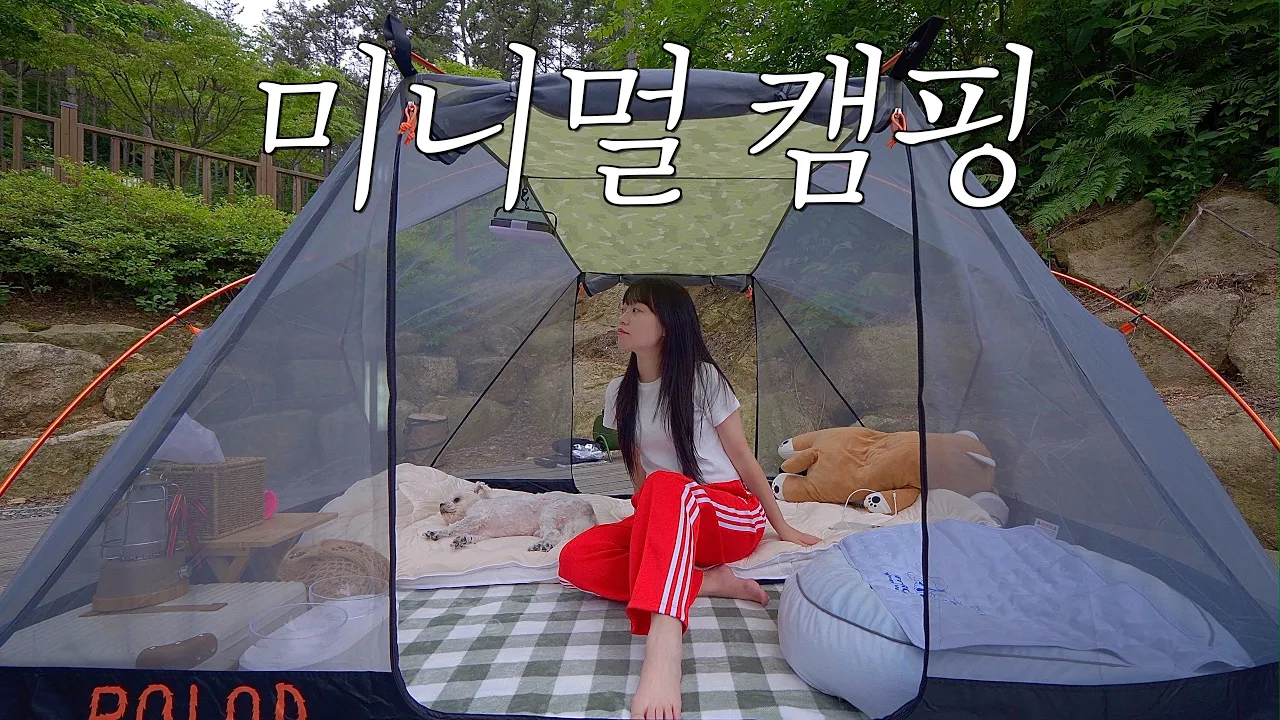 15만원에 산 텐트로 미니멀 솔로 캠핑 / 숯불에 장어 구워먹기 / 폴러스터프 투맨 텐트 / 전남 영암 국민여가 캠핑장 サムネイル