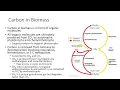 Ch 21 Nutrient Cycles